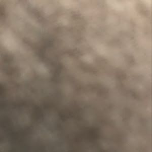 Profile Picture of Corey (@coreykeller7) on Tiktok