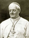 Profile Picture of Pio Alberto del Coronaon Wikipedia