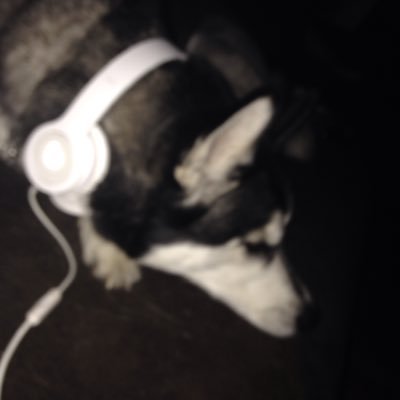 Profile Picture of Jared Lay (@jrlayzer9) on Twitter