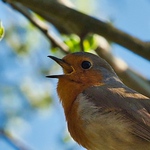 Manfred Duschek - Flickr Profile Picture of Manfred Duschek (@manfred300) on Flickr