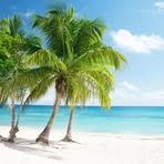 Profile Picture of Angelo Bufo (@angelo.bufo.33) on Facebook