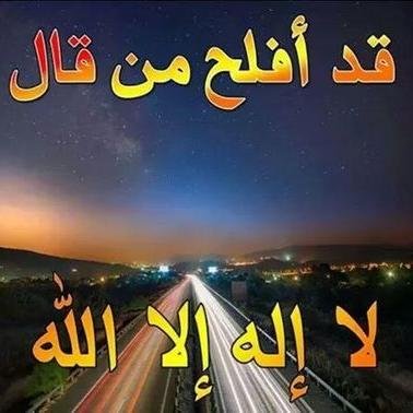 Profile Picture of Ahmed Mahran (@ahmedmahran830) on Twitter
