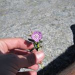 James Jeffrey Carr🚗 - Instagram Profile Picture of James Jeffrey Carr🚗 (@mr.cahh) on Instagram