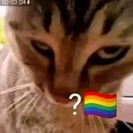 Profile Picture of Nathan Yang (@nathan.yang.988711) on Facebook