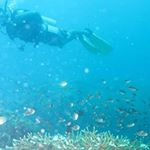 Profile Picture of Gary Clarke (@gary.clarkee) on Instagram