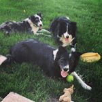 Profile Picture of Lauren LeTourneau (@lnlt42) on Instagram