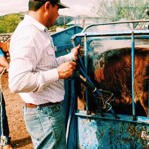 Profile Picture of Raul Carrasco (@raulcp83) on Poshmark