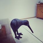 Profile Picture of Andy Connor (@_andy_connor) on Instagram