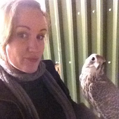 Profile Picture of Alex Renshawon Twitter