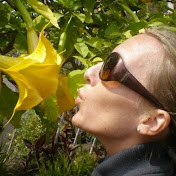 Swintarazzi - Youtube Profile Picture of Swintarazzi (@swintarazzi) on Youtube