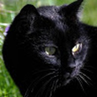 Profile Picture of Manuela Schmidt (@manuela-schmidt-22) on Quora