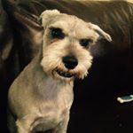 Profile Picture of titus gammon (@titus.edward) on Instagram