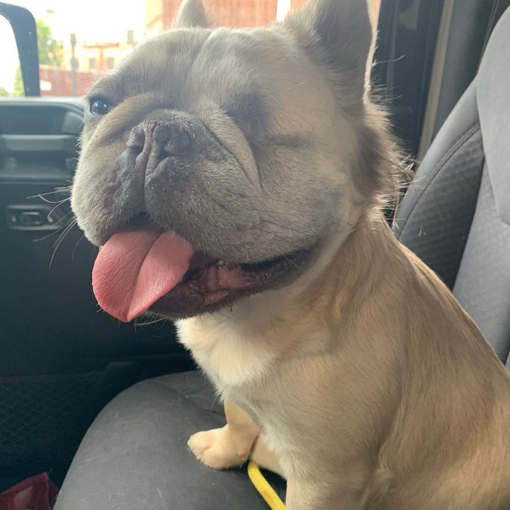 Profile Picture of juliarenz (@julia.renz) on Tiktok