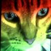 Profile Picture of traceylines (@traceylines) on Tiktok