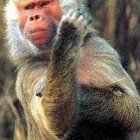 Profile Picture of Keith Provost (@139313652) on Myspace