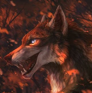 Profile Picture of Clover Fox (@clover.fox.16) on Facebook