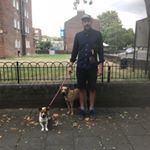 Profile Picture of James Whiting (@jameswalksdogs) on Instagram