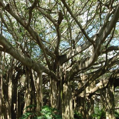 Profile Picture of Brian Tircuit (@btircuit) on Twitter