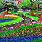 Profile Picture of Kenneth Ross (@kenneth.ross.1426) on Instagram