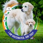 Profile Picture of Albinus Billung (@davidroy7362) on Instagram