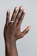 Profile Picture of Hand - Wikipediaon Wikipedia