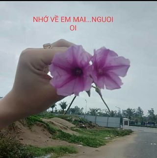 Profile Picture of Mong Cho (@Mong-Cho) on Facebook