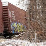 Profile Picture of Cora Patton (@corapatton) on Instagram