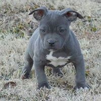 Vanessa Thomason Smyser - Quora Profile Picture of Vanessa Thomason Smyser (@vanessa-thomason-smyser) on Quora