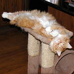 Profile Picture of James Hatcher (@hatchski42gmail.com) on Flickr