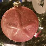 Profile Picture of Dianne Brady (@dianne.brady.7) on Instagram
