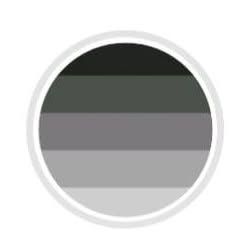 Profile Picture of David Notar (@david.notar) on Tiktok