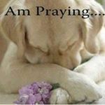 Profile Picture of Robin Singletary (@dreamcatcher628892) on Instagram