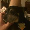 Profile Picture of patrickmccombs655 (@patrickmccombs655) on Tiktok