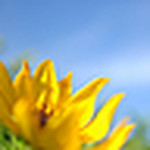 Profile Picture of Yesenia Fernandez-Vivas (@yesea) on Flickr