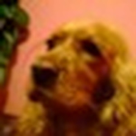 Profile Picture of Juan Antonio Paredes Rivera (@jparedesrivera) on Flickr