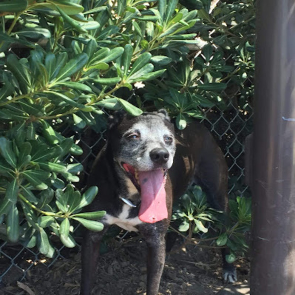 Profile Picture of Gabrielle Delayo (@gabsnoshoes) on Poshmark