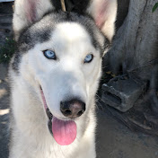 Profile Picture of Ruth Matute (@ruthmatute2397) on Youtube