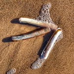 Profile Picture of Revo2wheels (@revo2wheels) on Flickr