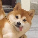 Profile Picture of Liz Longchamp (@liz_longchamp) on Instagram