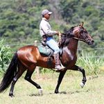 Profile Picture of Daniel Delfino (@daniel.delfino.5492) on Instagram