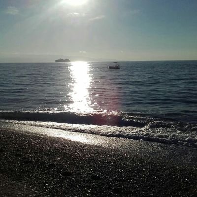 Profile Picture of Daniela Barbera (@DanielaBarber22) on Twitter