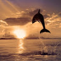 Profile Picture of Daniela Tavares (@daniela-tavares-25) on Quora