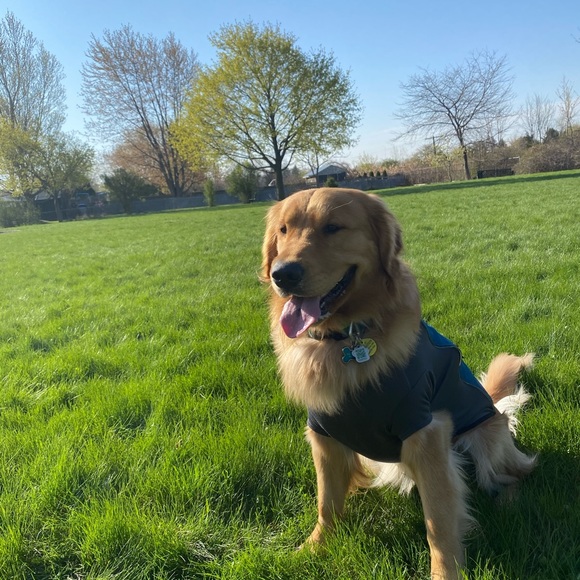 Profile Picture of Bailey Trepanier (@brunolover1579) on Poshmark