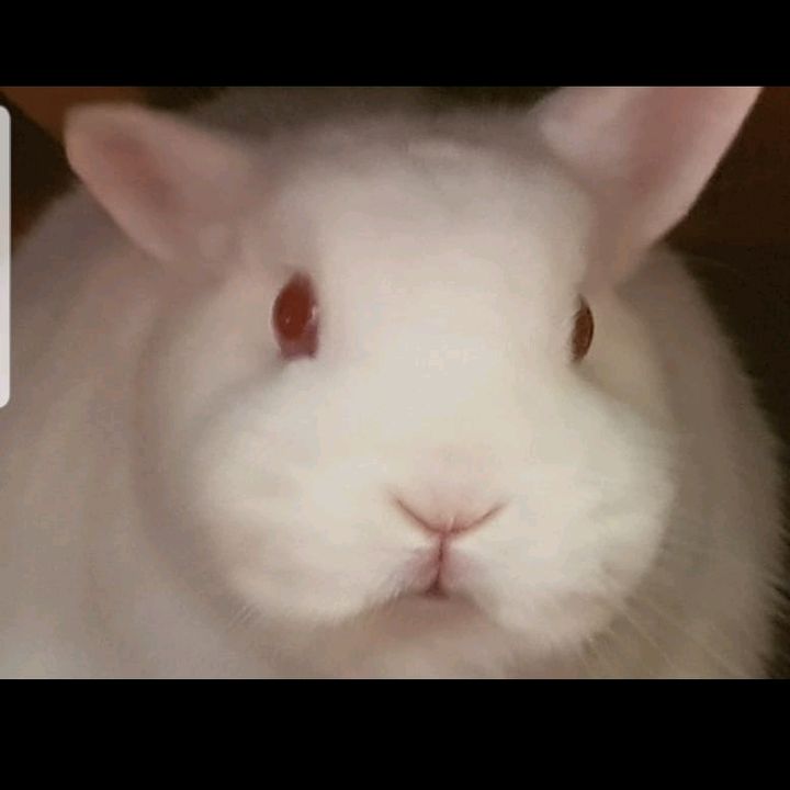 Profile Picture of Mark Bagshaw (@markbagshaw) on Tiktok