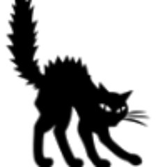 Profile Picture of Raymond Catala (@Raymond31200) on Twitter