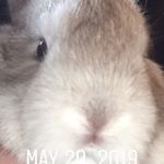 Thomas Mcqoinn - Instagram Profile Picture of Thomas Mcqoinn (@thomas_mcquinn1) on Instagram