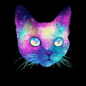 Profile Picture of @Barbara_popp (@Barbara_Popp33) on Twitter