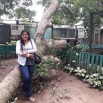 Profile Picture of Doris Ramos Quispe (@doris_ramos_quispe) on Instagram