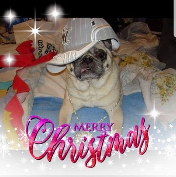 Profile Picture of Lisa Runkey neveu (@johnlisanev) on Poshmark