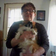 Profile Picture of Nancy Ault (@nancy.ault) on Tiktok